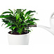 Slow-release fertiliser PERFECT LEAF Slow-release fertiliser PERFECT LEAF