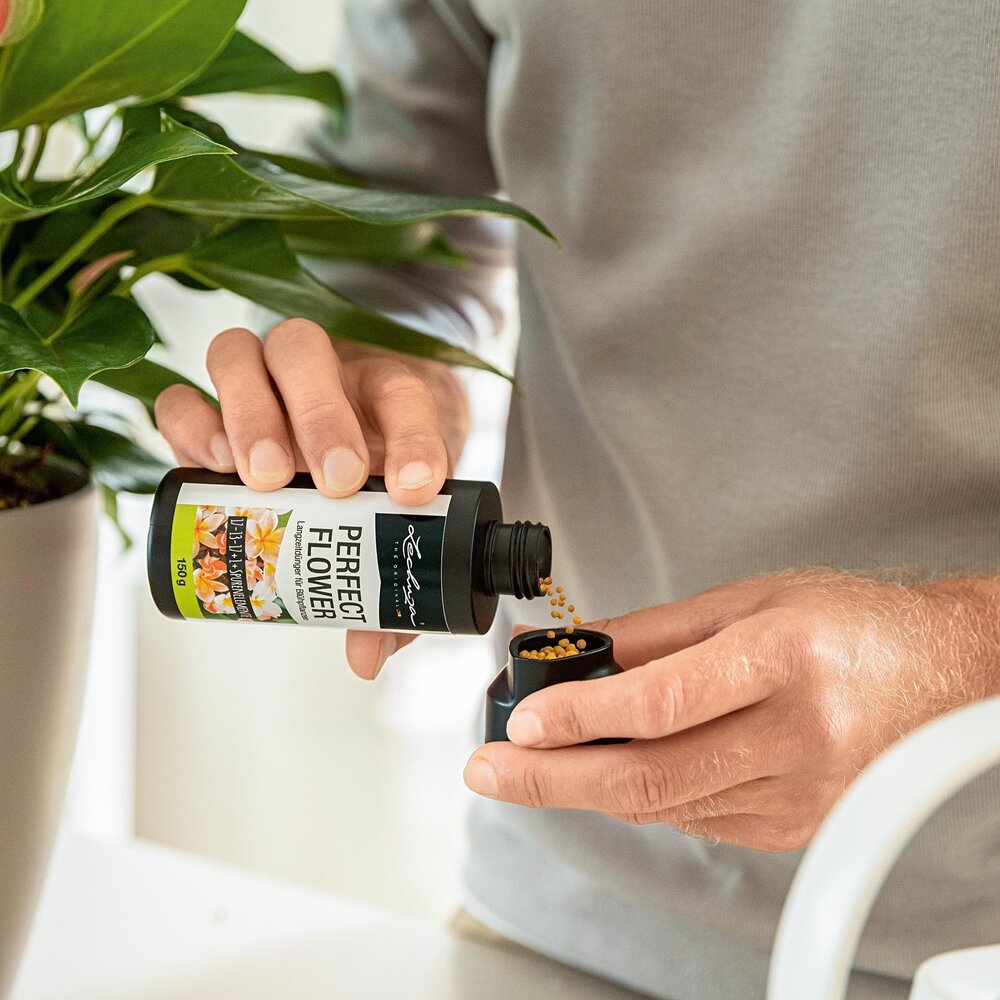 Slow-release fertiliser PERFECT FLOWER