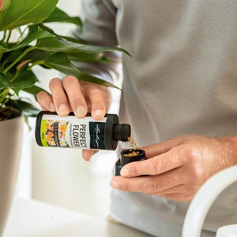 Slow-release fertiliser PERFECT FLOWER