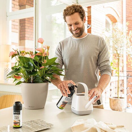 Slow-release fertiliser PERFECT FLOWER