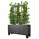 Trellis Trellis