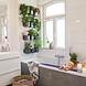 Green Wall Home Kit Glossy white high-gloss Green Wall Home Kit Glossy white high-gloss