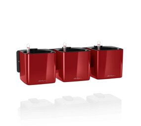 Green Wall Home Kit Glossy scharlakenrood hoogglans Green Wall Home Kit Glossy scharlakenrood hoogglans