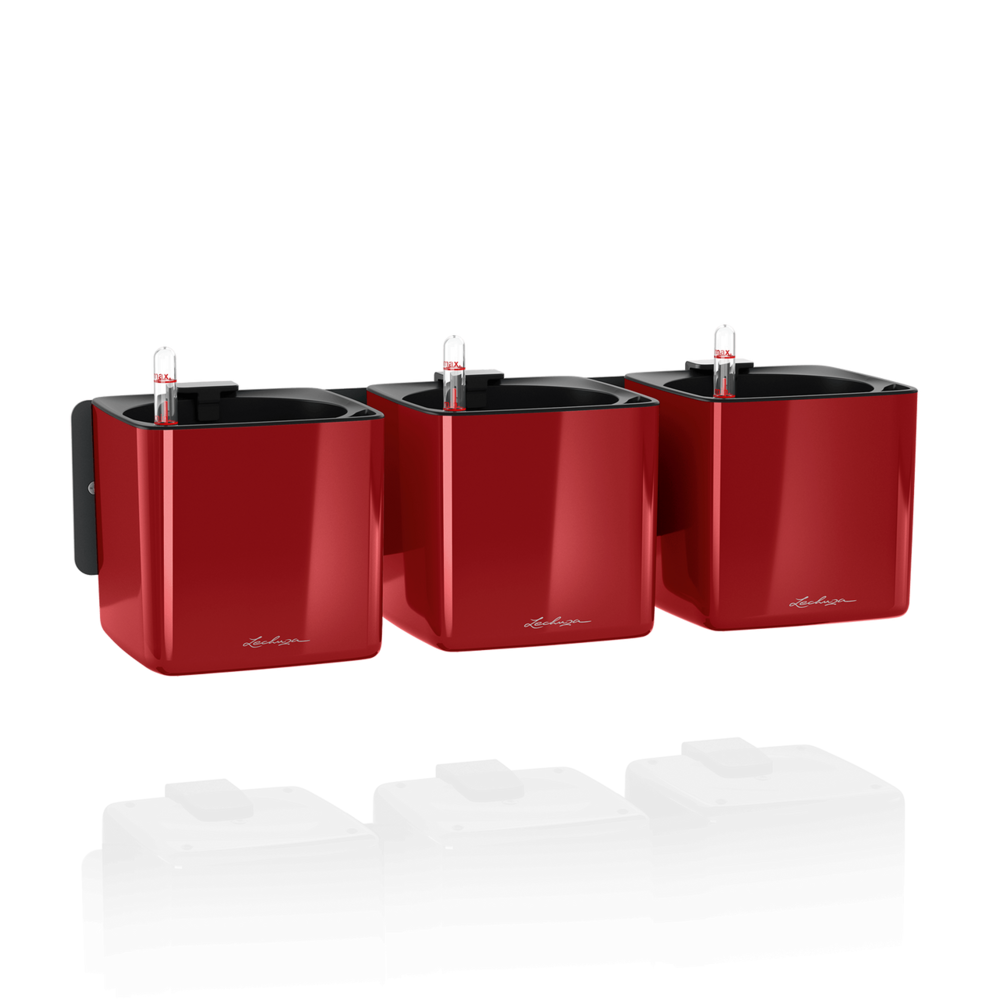 Green Wall Home Kit Glossy scarlet red high-gloss Green Wall Home Kit Glossy scarlet red high-gloss