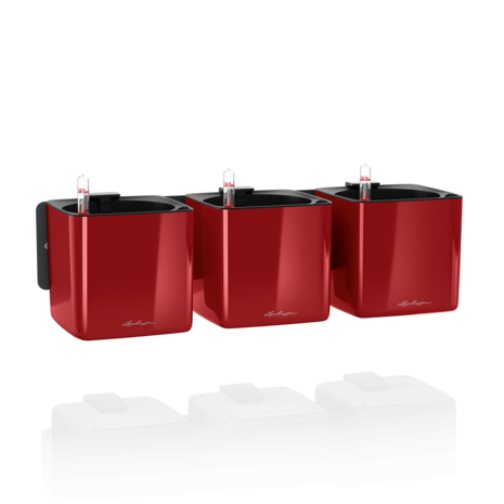 Green Wall Home Kit Glossy scarlet red high-gloss Green Wall Home Kit Glossy scarlet red high-gloss