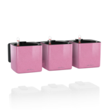 Green Wall Home Kit Glossy Kiss sweet candy glitter hoogglans Green Wall Home Kit Glossy Kiss sweet candy glitter hoogglans