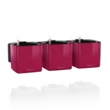 Green Wall Home Kit Glossy Kiss Kirschkuchen Glitzer Hochglanz Green Wall Home Kit Glossy Kiss Kirschkuchen Glitzer Hochglanz