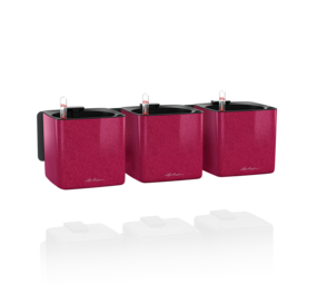 Green Wall Home Kit Glossy Kiss Kirschkuchen Glitzer Hochglanz Green Wall Home Kit Glossy Kiss Kirschkuchen Glitzer Hochglanz