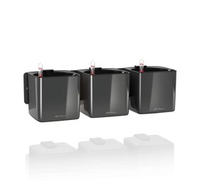 Green Wall Home Kit Glossy anthrazit highgloss