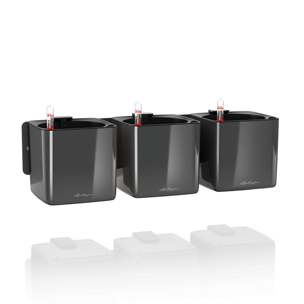 Green Wall Home Kit Glossy charcoal high-gloss Green Wall Home Kit Glossy charcoal high-gloss