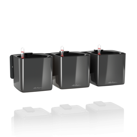 Green Wall Home Kit Glossy anthrazit highgloss