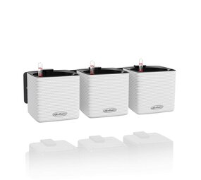 Green Wall Home Kit Color white Green Wall Home Kit Color white