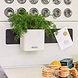 Green Wall Home Kit Color white Green Wall Home Kit Color white