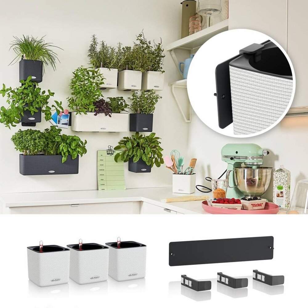 Green Wall Home Kit Color wit