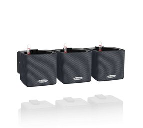 Green Wall Home Kit Color leisteengrijs Green Wall Home Kit Color leisteengrijs