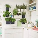 Green Wall Home Kit Color leisteengrijs Green Wall Home Kit Color leisteengrijs