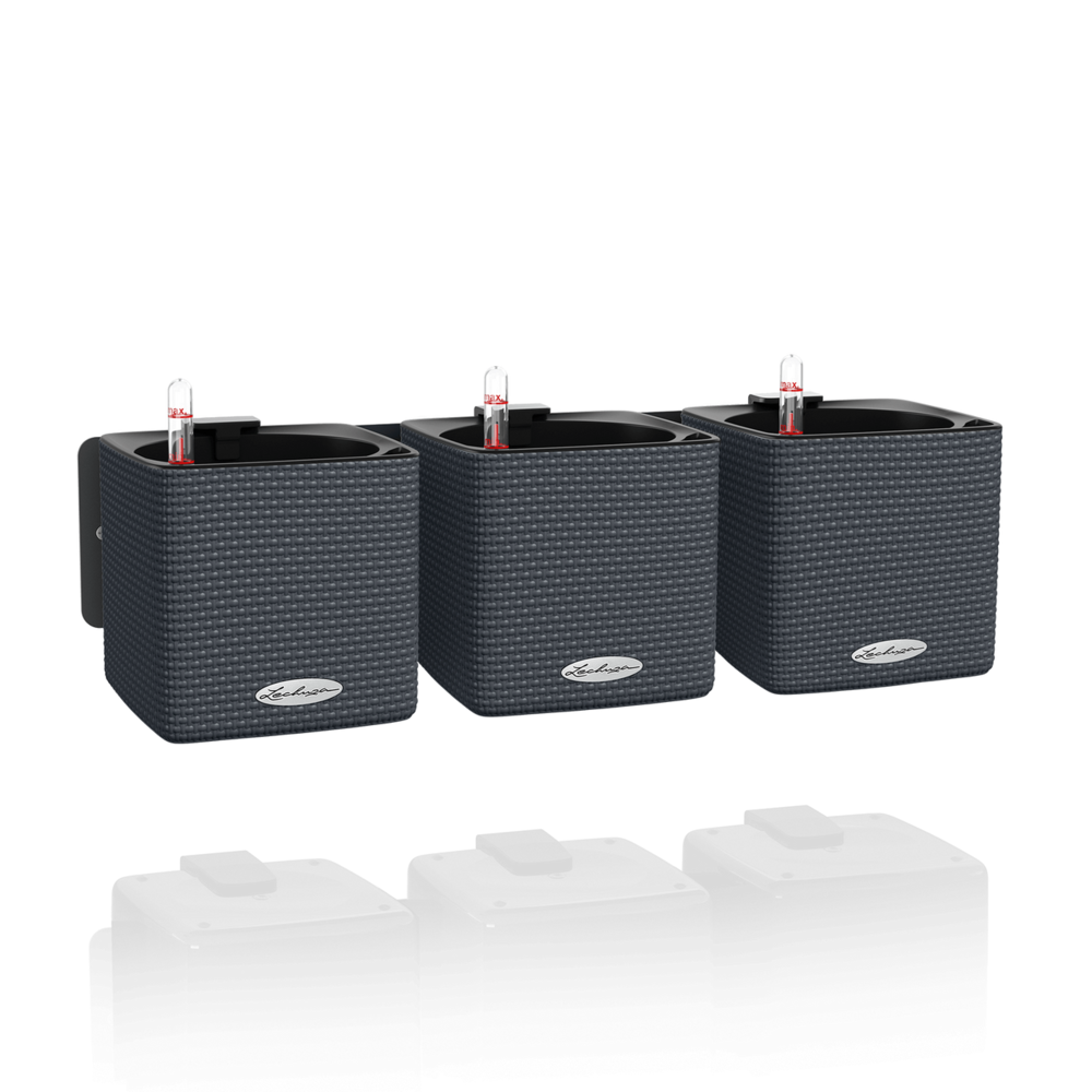 Green Wall Home Kit Color schiefergrau