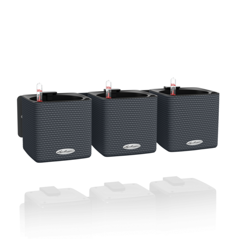 Green Wall Home Kit Color schiefergrau