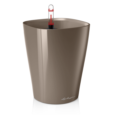 DELTINI taupe hochglanz