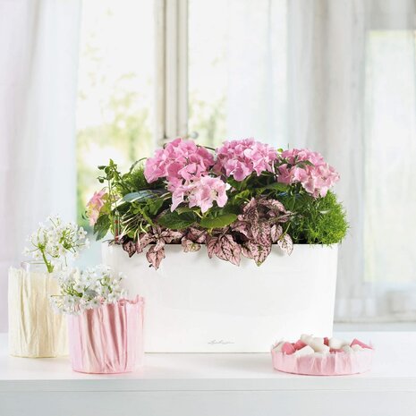 LECHUZA DELTA wit hoogglans LECHUZA DELTA wit hoogglans