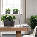 LECHUZA DELTA charcoal metallic LECHUZA DELTA charcoal metallic