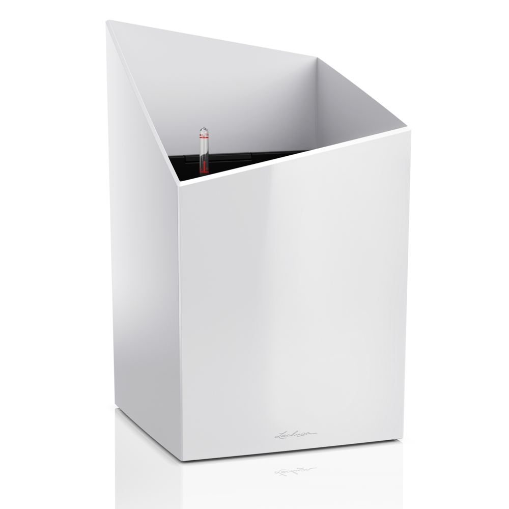 LECHUZA CURSIVO white high-gloss