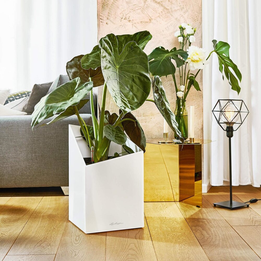 LECHUZA CURSIVO white high-gloss