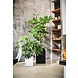 LECHUZA CURSIVO white high-gloss LECHUZA CURSIVO white high-gloss