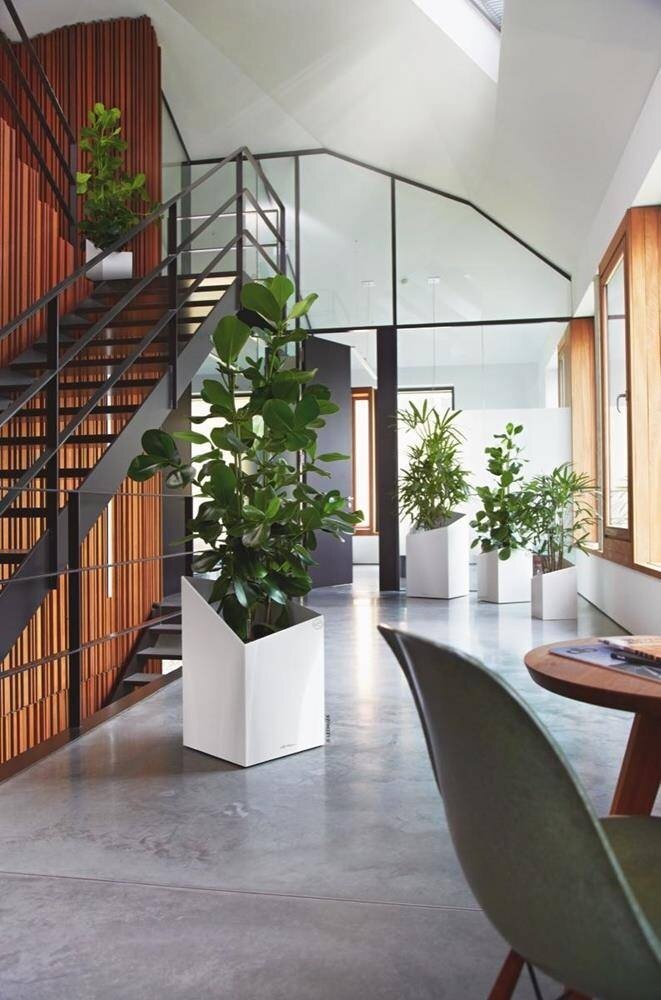 LECHUZA CURSIVO blanc brillant LECHUZA CURSIVO blanc brillant