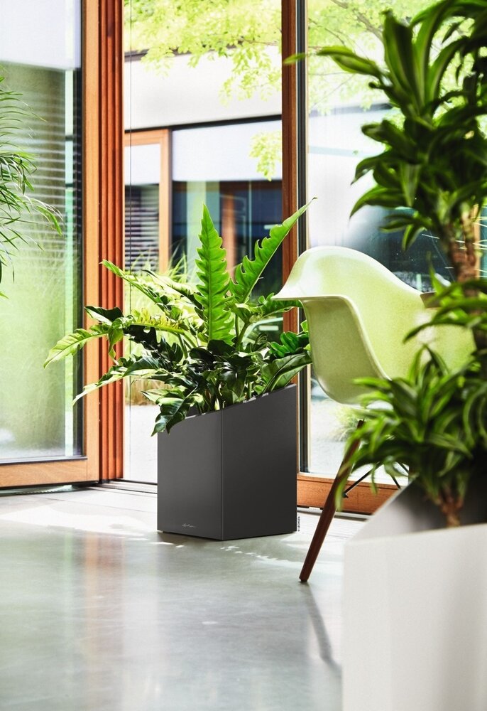 LECHUZA CURSIVO anthracite métallisé LECHUZA CURSIVO anthracite métallisé