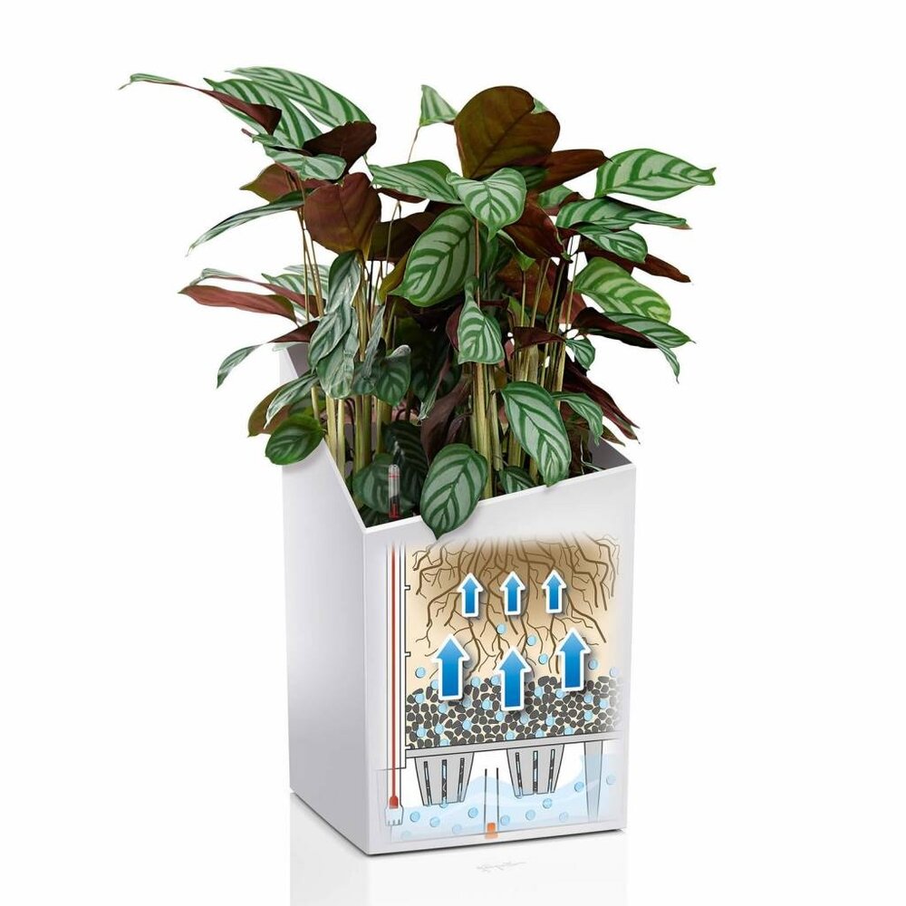 LECHUZA CURSIVO anthracite métallisé LECHUZA CURSIVO anthracite métallisé