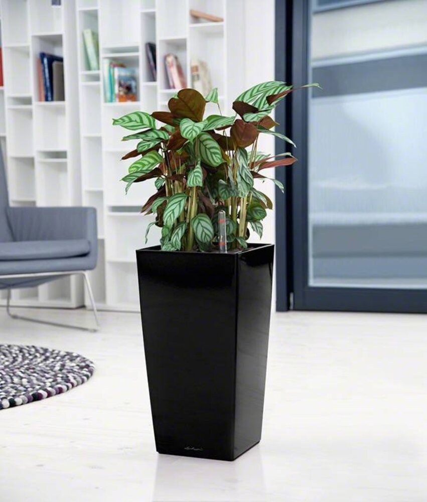 LECHUZA CUBICO zwart hoogglans