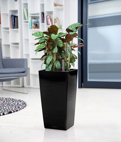 LECHUZA CUBICO noir brillant