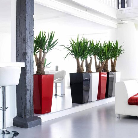 LECHUZA CUBICO scarlet red high-gloss LECHUZA CUBICO scarlet red high-gloss