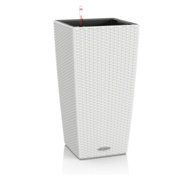 CUBICO Cottage blanc CUBICO Cottage blanc