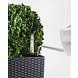 LECHUZA CUBICO Cottage granit LECHUZA CUBICO Cottage granit