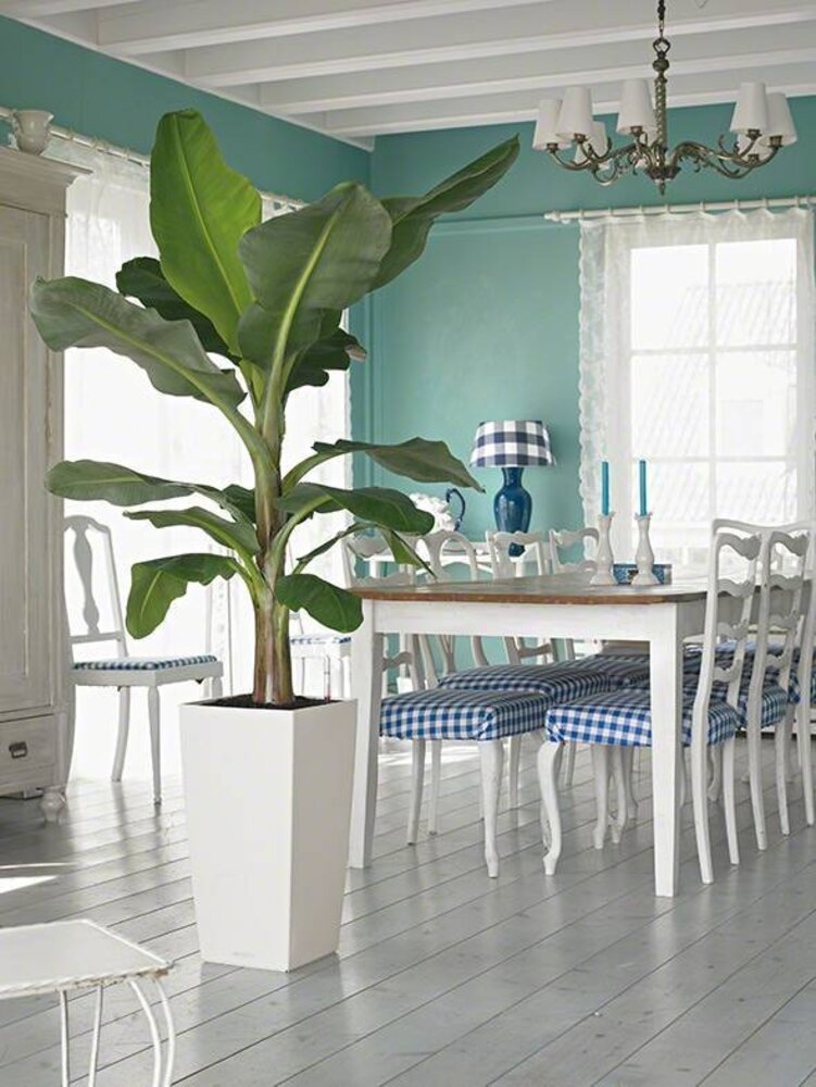 LECHUZA CUBICO Color blanc