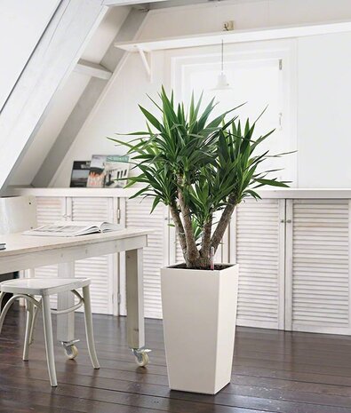 LECHUZA CUBICO Color white