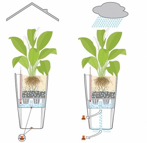 LECHUZA CUBICO Color nutmeg