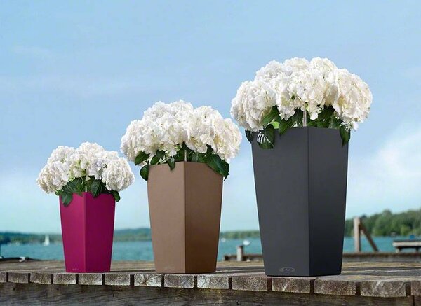 LECHUZA CUBICO Color slate LECHUZA CUBICO Color slate