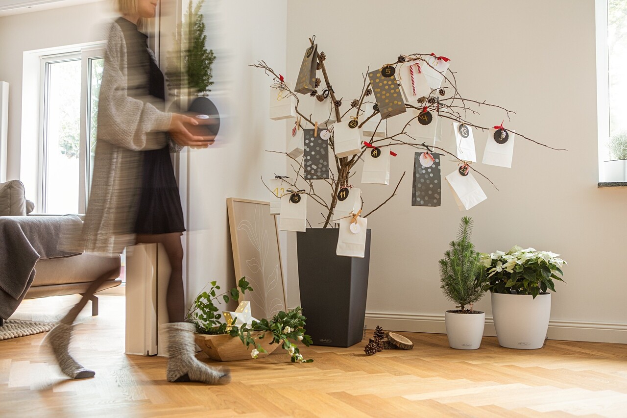 LECHUZA CUBICO Color leisteengrijs