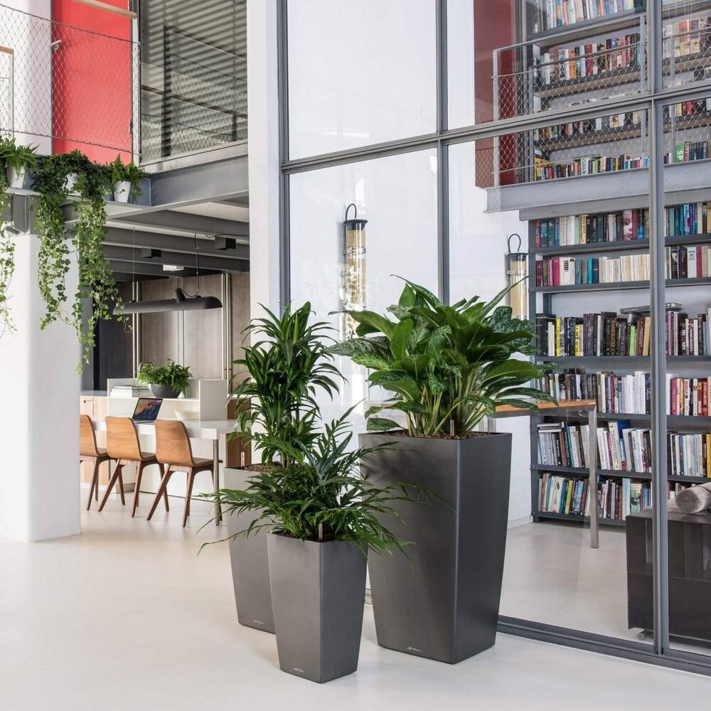 LECHUZA CUBICO anthrazit metallic LECHUZA CUBICO anthrazit metallic