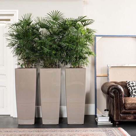 CUBICO ALTO taupe brillant