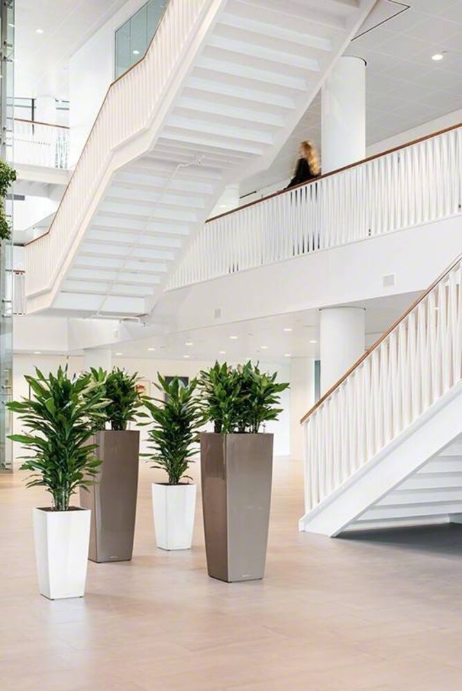 CUBICO ALTO taupe hochglanz