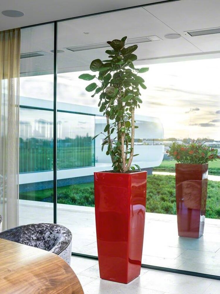 CUBICO ALTO scharlakenrood hoogglans CUBICO ALTO scharlakenrood hoogglans