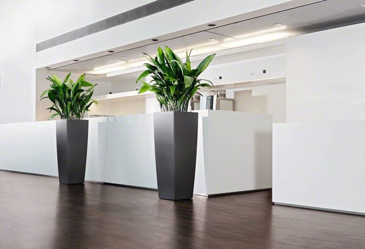 CUBICO ALTO antraciet metallic