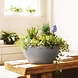 LECHUZA CUBETO Stone stone grey LECHUZA CUBETO Stone stone grey