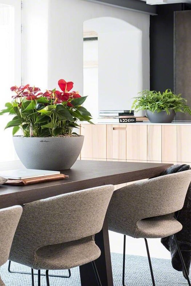 LECHUZA CUBETO Stone stone grey