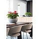 LECHUZA CUBETO Stone stone grey LECHUZA CUBETO Stone stone grey