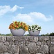 LECHUZA CUBETO Stone stone grey LECHUZA CUBETO Stone stone grey